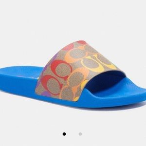 Coach ULI Pride Sport SLID